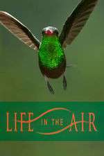 Watch Life in the Air Goojara