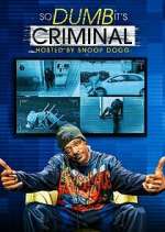 Watch So Dumb It's Criminal Goojara