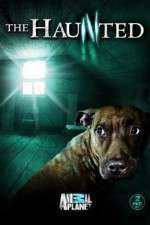 Watch The Haunted Goojara