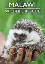 Watch Malawi Wildlife Rescue Goojara
