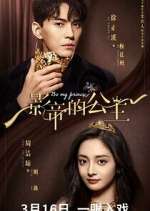 Watch Be My Princess Goojara