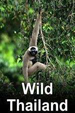 Watch Wild Thailand Goojara