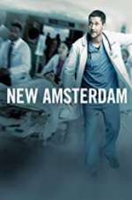 Watch New Amsterdam Goojara
