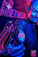 Watch Mr Inbetween Goojara