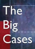 Watch The Big Cases Goojara
