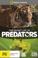 Watch Secret Life of Predators Goojara