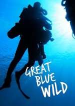 Watch Great Blue Wild Goojara