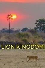 Watch Lion Kingdom Goojara