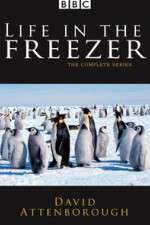 Watch Life in the Freezer Goojara