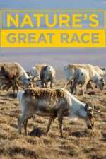 Watch Nature's Great Race Goojara