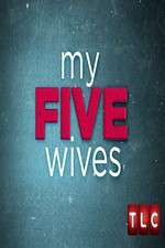 Watch My Five Wives Goojara