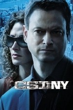 Watch CSI: NY / New York Goojara
