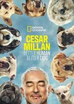 Watch Cesar Millan: Better Human Better Dog Goojara