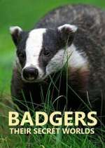 Watch Badgers: Their Secret Worlds Goojara