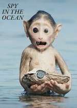 Watch Spy in the Ocean Goojara