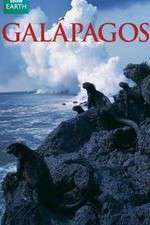 Watch Galapagos Goojara