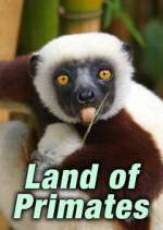 Watch Land of Primates Goojara