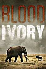 Watch Blood Ivory Goojara