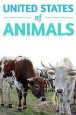 Watch United States of Animals Goojara