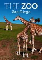 Watch The Zoo: San Diego Goojara