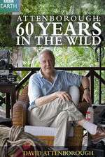 Watch Attenborough 60 Years in the Wild Goojara