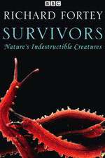 Watch Survivors: Nature's Indestructible Creatures Goojara