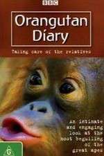 Watch Orangutan Diary Goojara