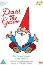 Watch David el gnomo Goojara