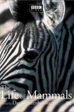 Watch The Life of Mammals Goojara