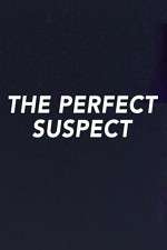 Watch The Perfect Suspect Goojara