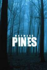 Watch Wayward Pines Goojara