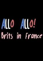 Watch Allo Allo! Brits in France Goojara