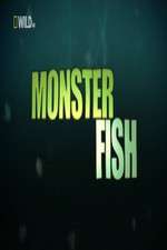 Watch National Geographic Monster Fish Goojara