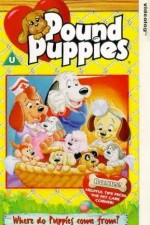 Watch Pound Puppies Goojara