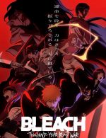 Watch Bleach: Thousand-Year Blood War Goojara