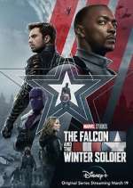 Watch The Falcon and The Winter Soldier Goojara