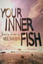 Watch Your Inner Fish Goojara