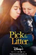 Watch Pick of the Litter Goojara