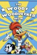 Watch The Woody Woodpecker Show Goojara