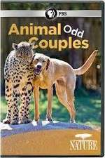 Watch Animal Odd Couples Goojara