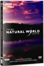 Watch The Natural World Goojara