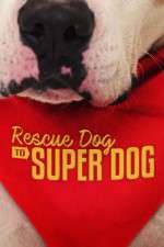 Watch Rescue Dog to Super Dog (US) Goojara