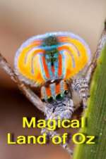 Watch Magical Land of Oz Goojara