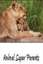 Watch Animal Super Parents Goojara