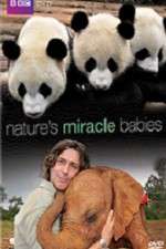 Watch Natures Miracle Babies Goojara
