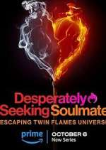 Watch Desperately Seeking Soulmate: Escaping Twin Flames Universe Goojara
