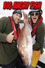 Watch Big Angry Fish Goojara