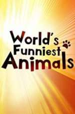 Watch The World\'s Funniest Animals Goojara
