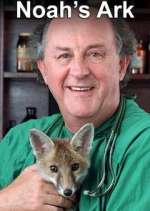 Watch Noah's Ark Goojara