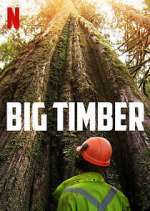 Watch Big Timber Goojara